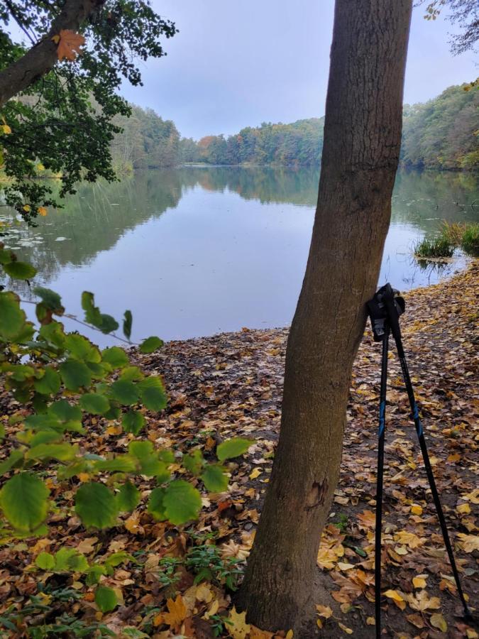 Lake Houselubniewice Domek Caloroczny Z Jacuzzi Blisko Jeziora Dış mekan fotoğraf